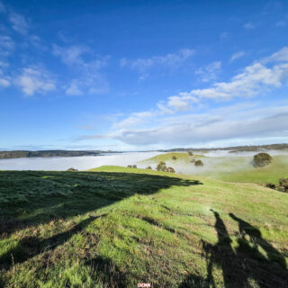 Ahh, the serenity @SevenGravelRace
…
…
#sevengravelrace #gravelcyclist #gravelrace #gravelroads #gravelbikes #westernaustralia #UICMM #TrailsWA #CyclingWA